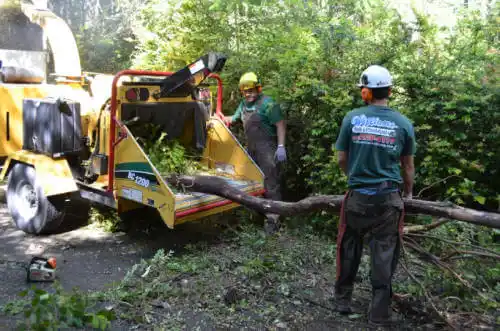 tree services Salinas